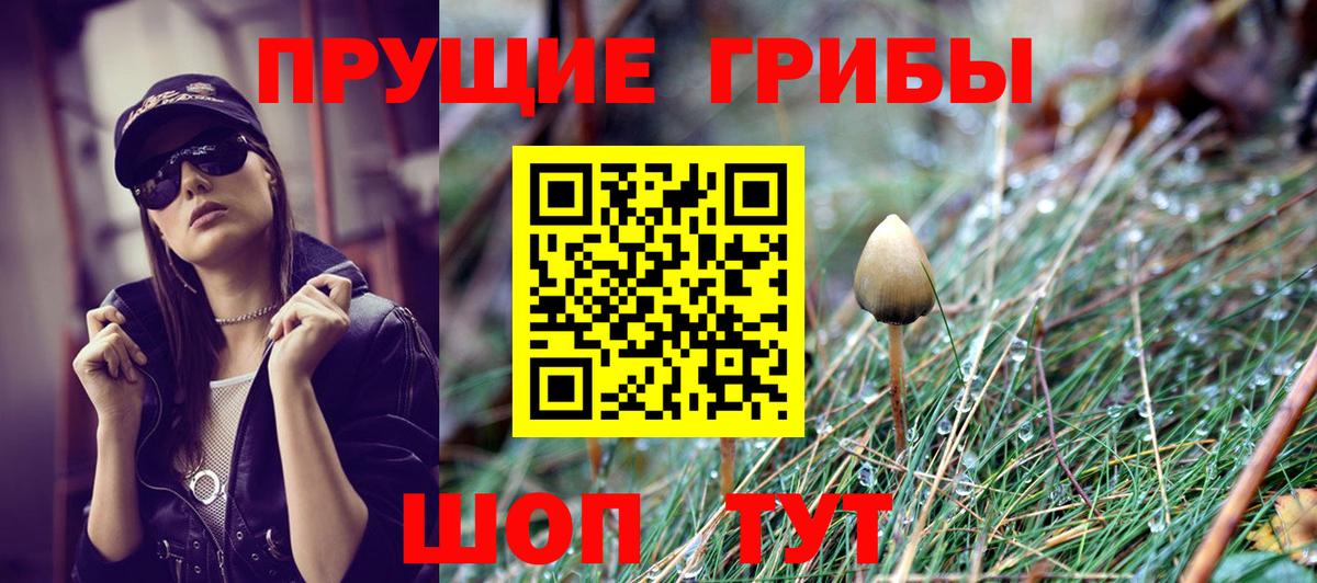 ГАШ Свободный